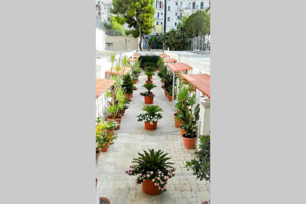 Al Cortile Apartment Bari Ngoại thất bức ảnh